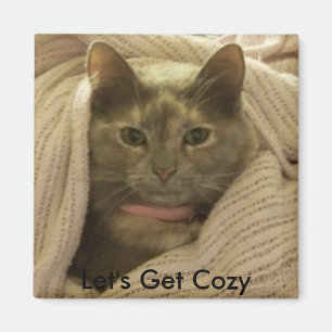 Cat in Blankets, Let's Get Cozy Magnet
