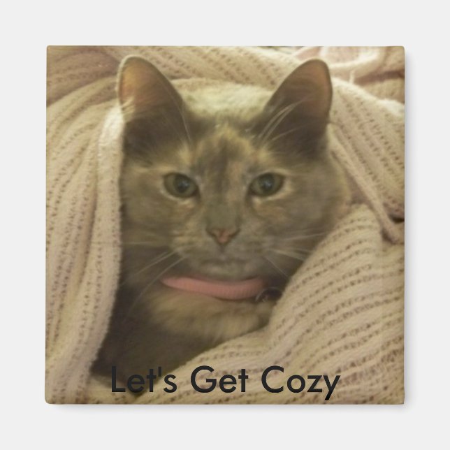 Cat in Blankets, Let's Get Cozy Magnet (Front)