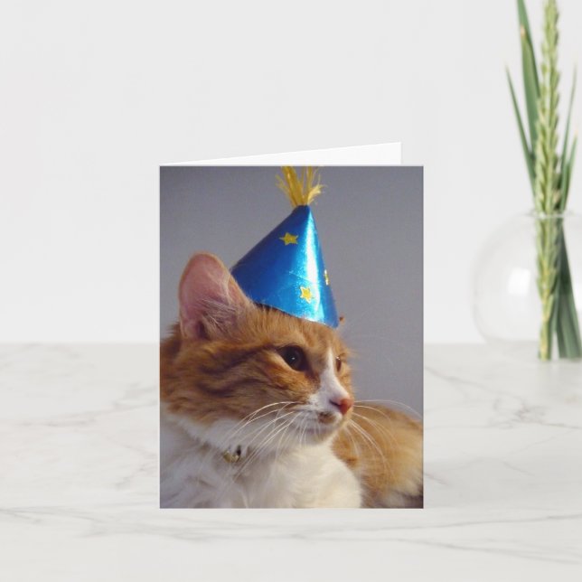 Cat in Blue Party Hat Blank Note Card (Front)
