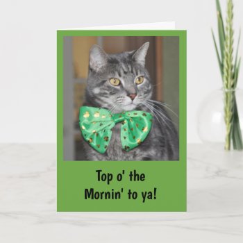 Cat In Bowtie For St. Patrick's Day Card by Purranimals at Zazzle