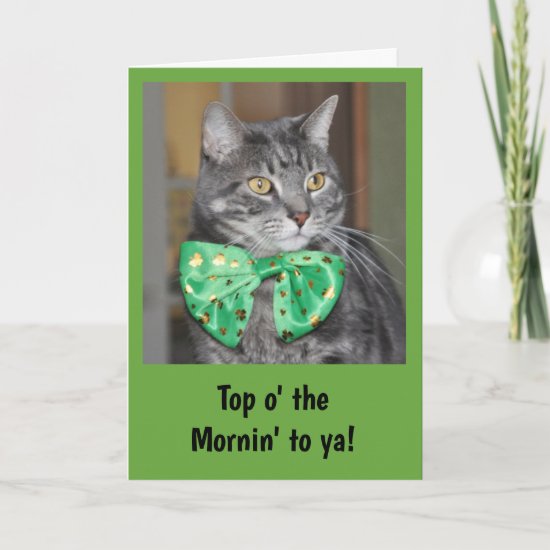 Cat in Bowtie for St. Patrick's Day Card