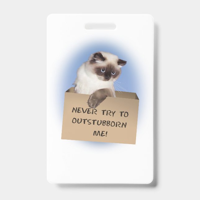 Cat in Box Badge (Front)