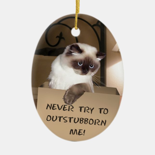 Cat in Box Ceramic Ornament (Front)