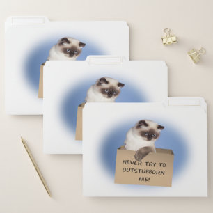Cat in Box File Folder