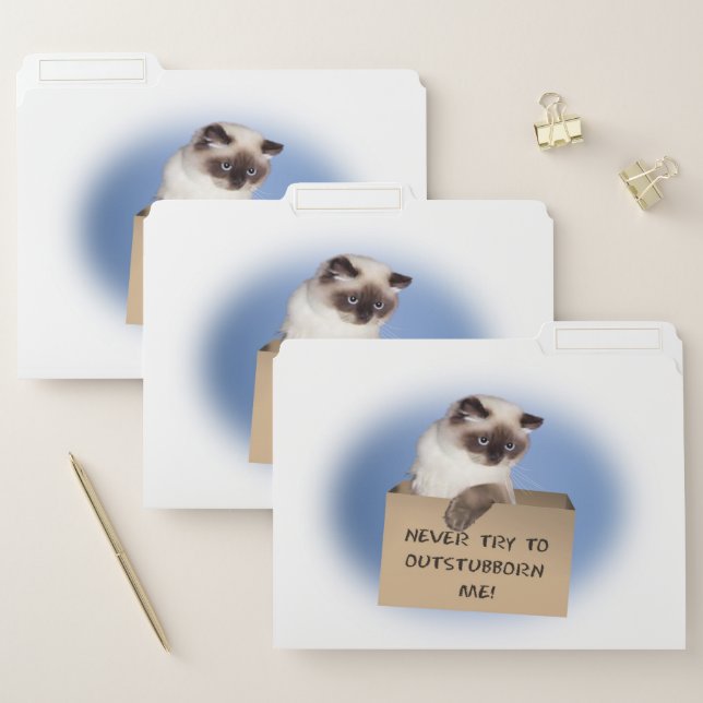 Cat in Box File Folder (Set)