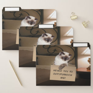 Cat in Box File Folder