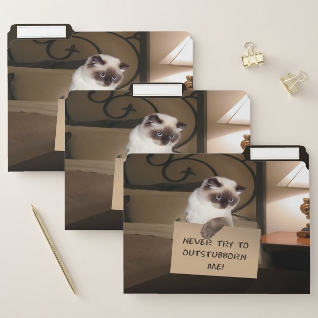 Cat in Box File Folder (Set)