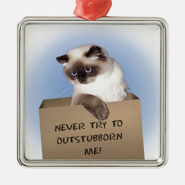 Cat in Box Metal Ornament (Front)