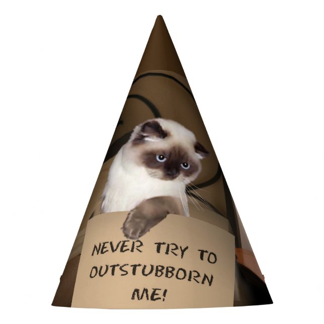 Cat in Box Party Hat (Front)