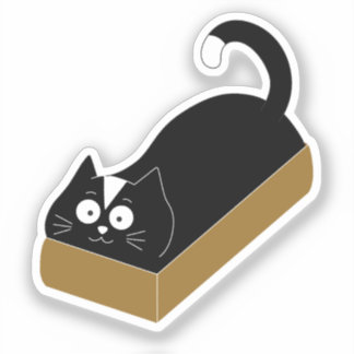 Cat in Box, Stuffed Cat Sticker