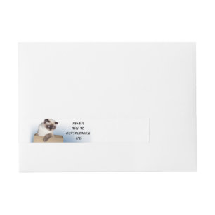 Cat in Box Wrap Around Address Label