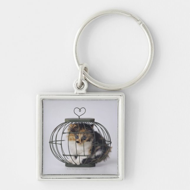 Cat in cage keychain (Front)