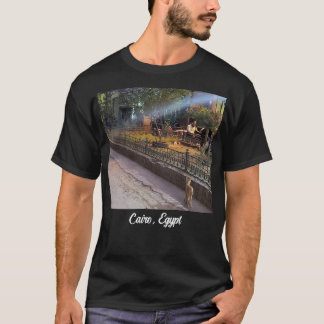 Cat in Cairo, Egypt T-Shirt