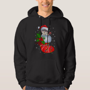 Cat In Christmas Socks   Santa Cat Xmas Hoodie