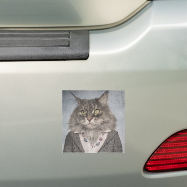 Cat In Clothes Car Magnet (In Situ)