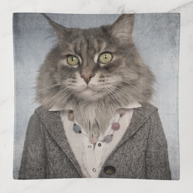 Cat In Clothes Trinket Tray (Front)