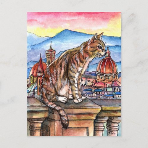 Cat in Florence Postcard