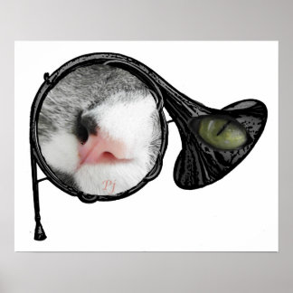 cat in french horn poster