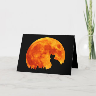 Cat in full orange Moon Card