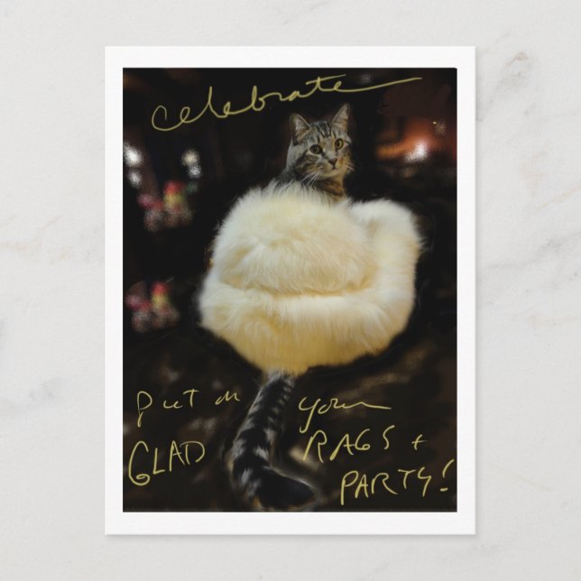 Cat in Fur Coat "Celebrate" postcard / blank (Front)