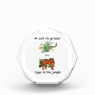Cat in Grass is a Tiger in the Jungle Award