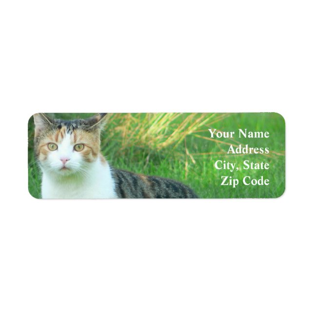 Cat in grass label (Front)