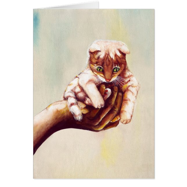 CAT IN HAND CARDS (Front)