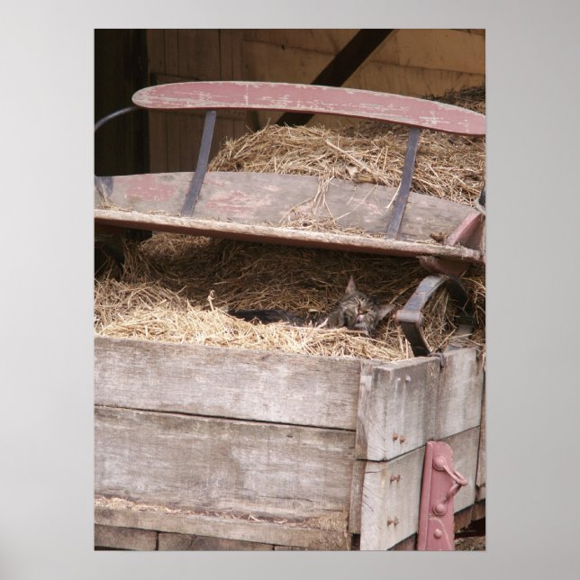 Cat in Hay Wagon Print (Front)