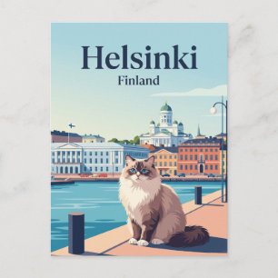 Cat in Helsinki Finland Postcard