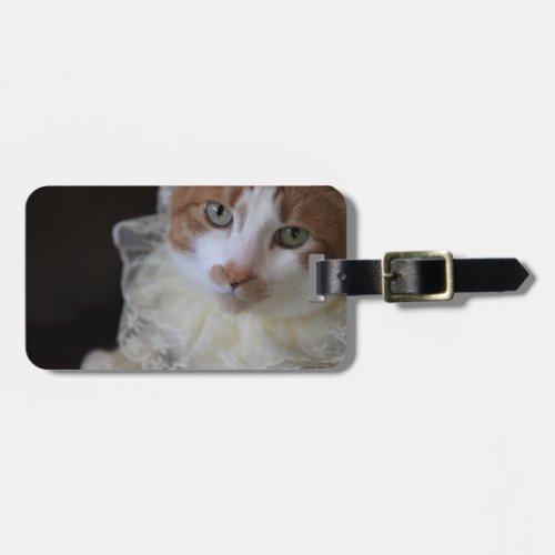Cat in lacy collar luggage tag