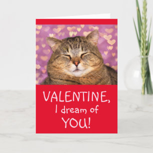 Cat In Love Forever Valentine's Day Holiday Card