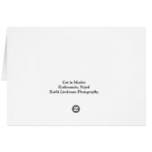 Cat in Market (Back Horizontal)