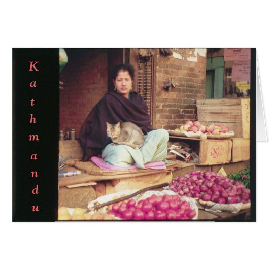 Cat in Market Cards (Front Horizontal)