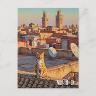 Cat in Marrakesh Morocco Travel Postcard
