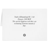 cat in marsh cards (Back Horizontal)