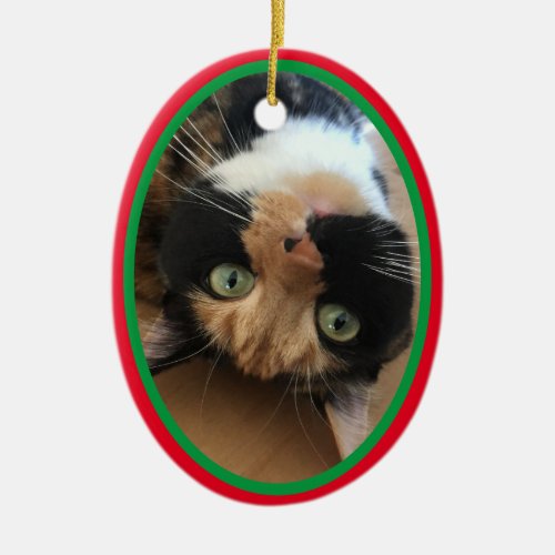 Cat In Memoriam Of Christmas Holiday Red Green Ceramic Ornament