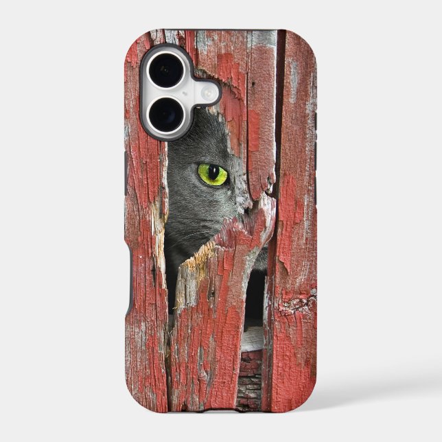 Cat in old barn iphone case (Back)