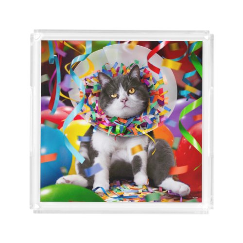 Cat In Party Cone Acrylic Tray