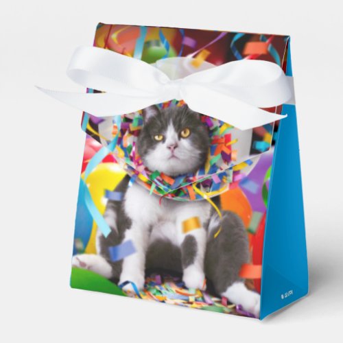 Cat In Party Cone Favor Boxes