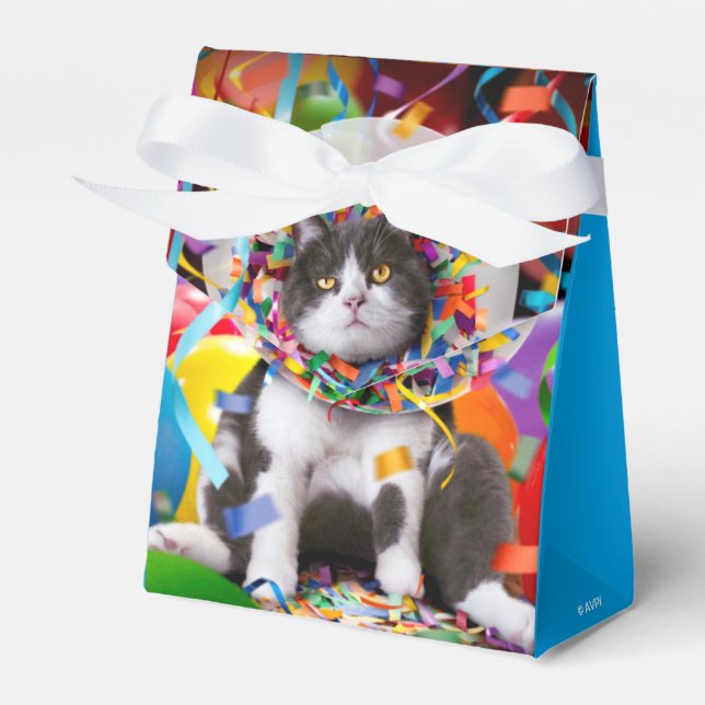 Cat In Party Cone Favor Boxes (Front Side)