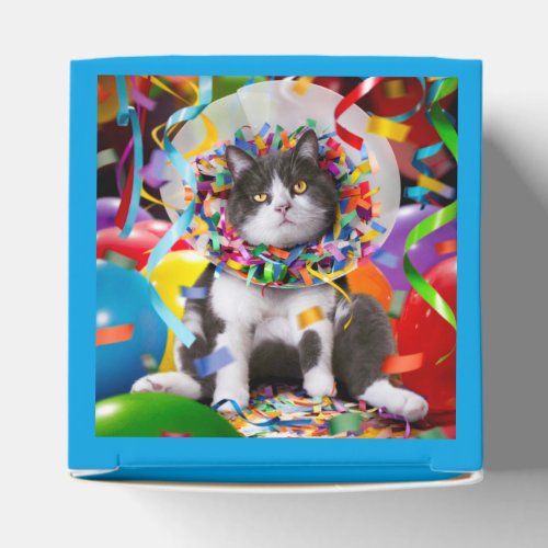 Cat In Party Cone Favor Boxes
