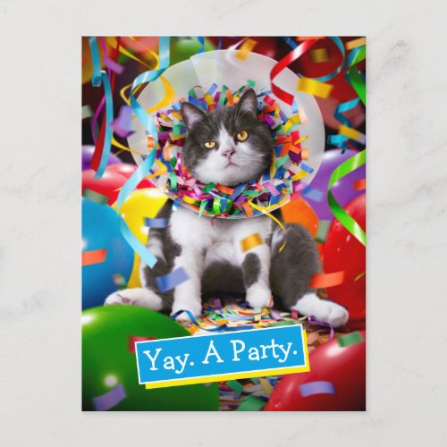 Cat In Party Cone Invitation Postcard