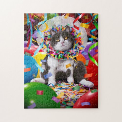 Cat In Party Cone Jigsaw Puzzle