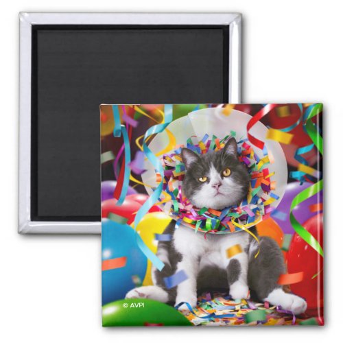 Cat In Party Cone Magnet