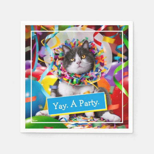 Cat In Party Cone Napkins