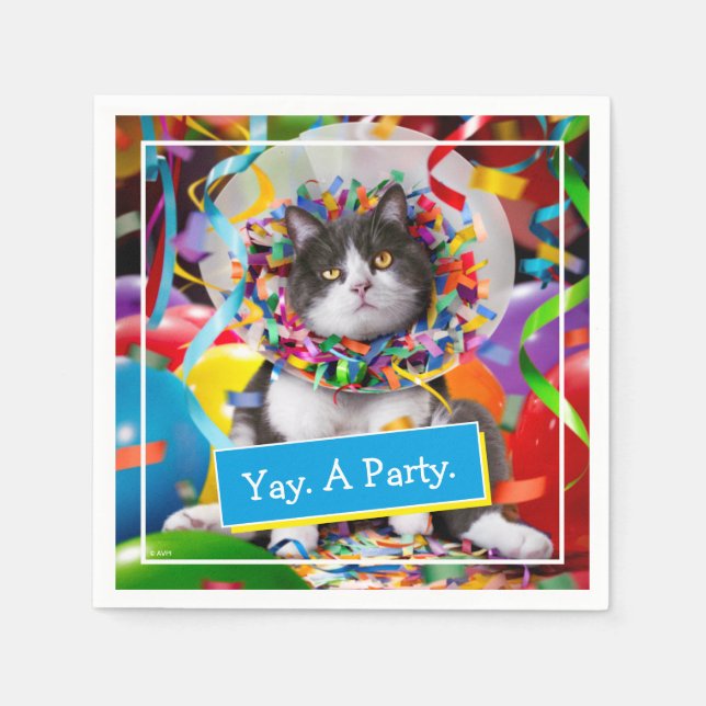 Cat In Party Cone Napkins (Front)