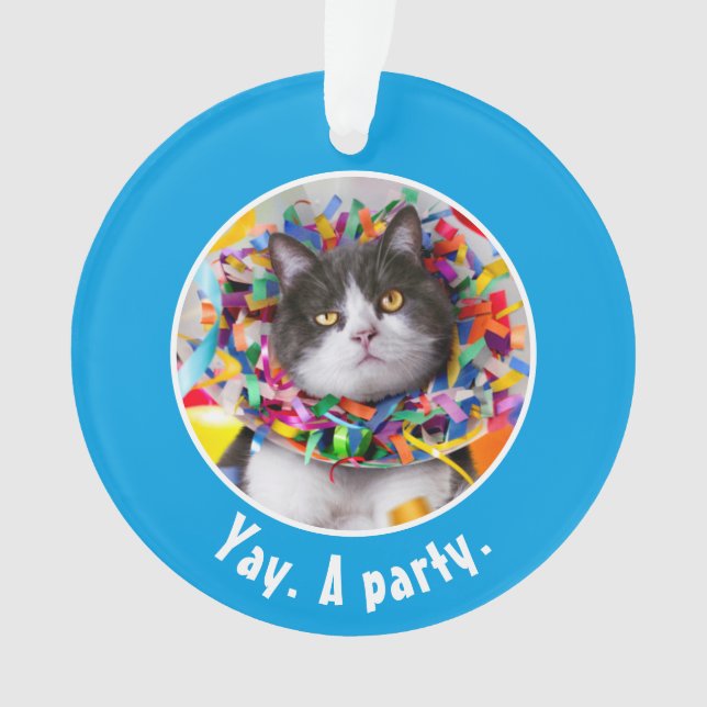Cat In Party Cone Ornament (Front)