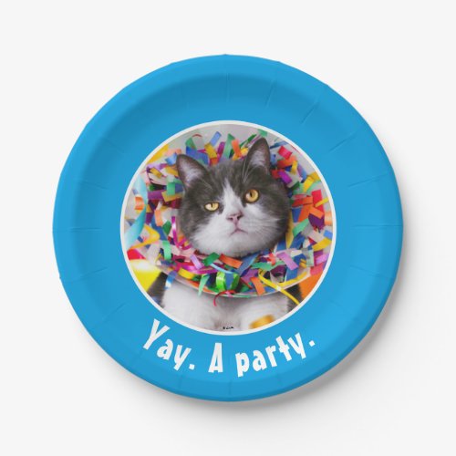 Cat In Party Cone Paper Plates