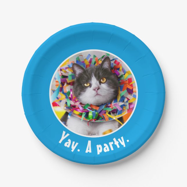Cat In Party Cone Paper Plates (Front)