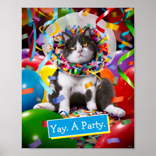 Cat In Party Cone Poster (Front)